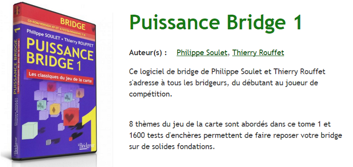 Puissance Bridge 1